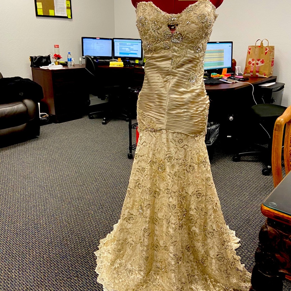 Terani Custom made gown